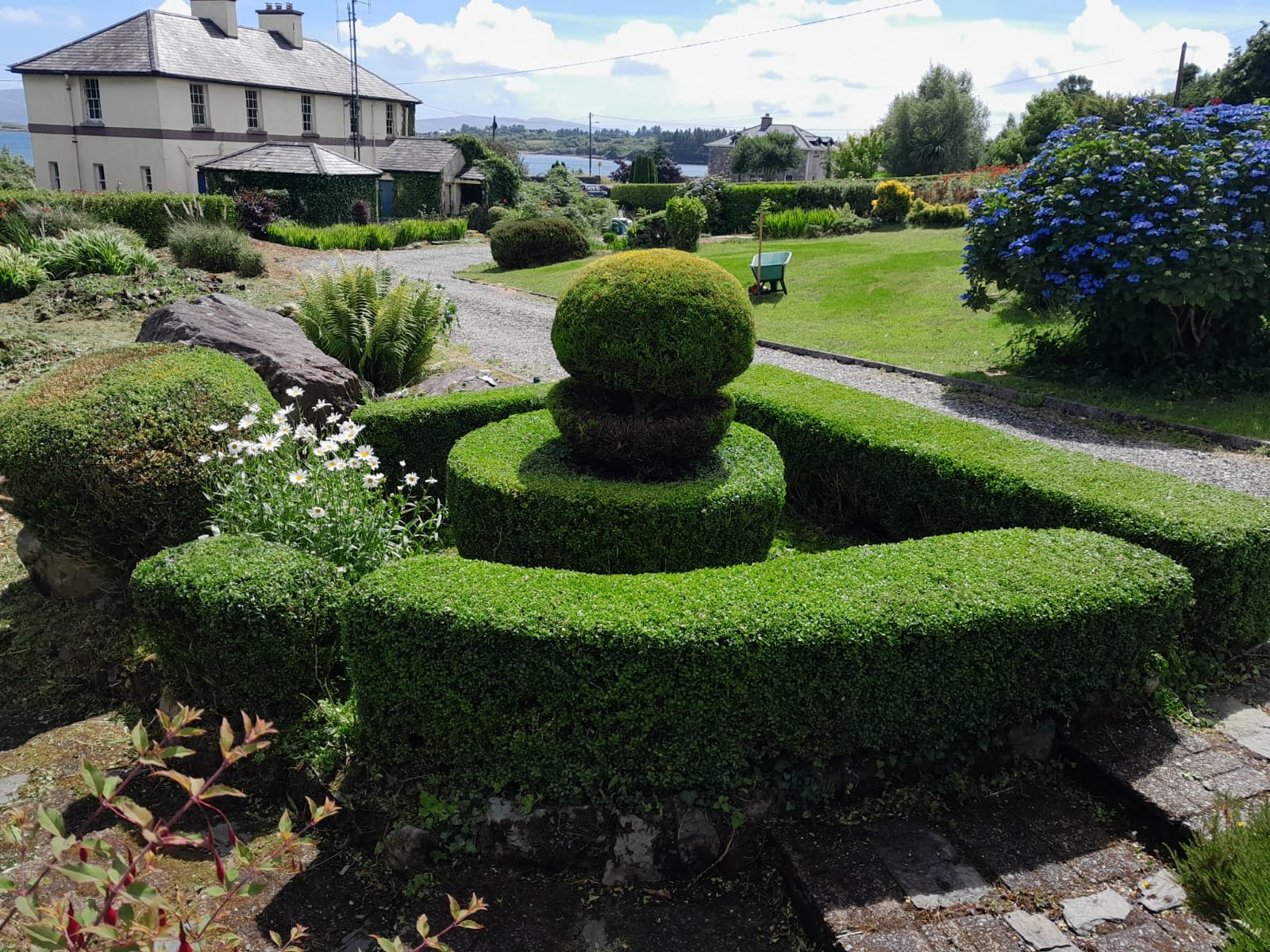 Renovated front lawn